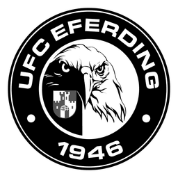 Logo of home team
