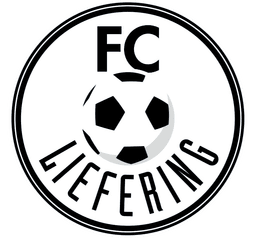 Logo of home team