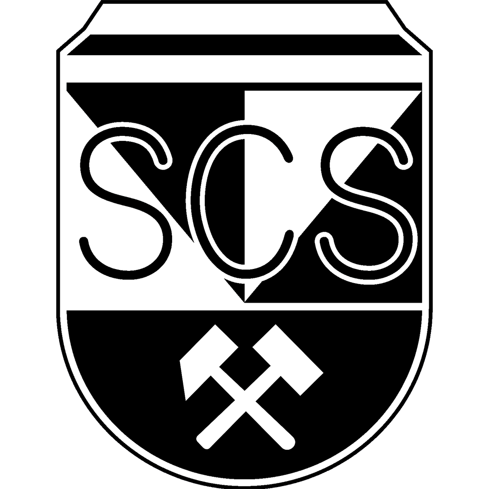 Logo of home team