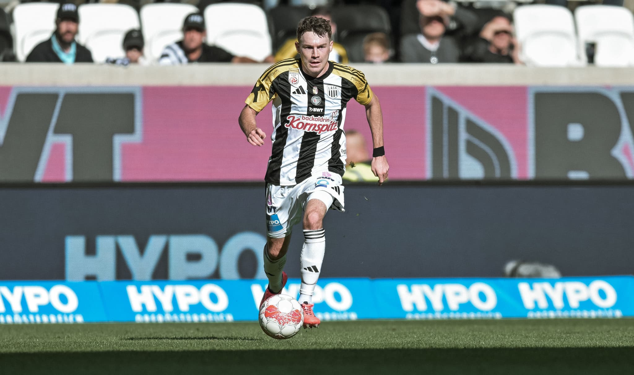 Flecki 2