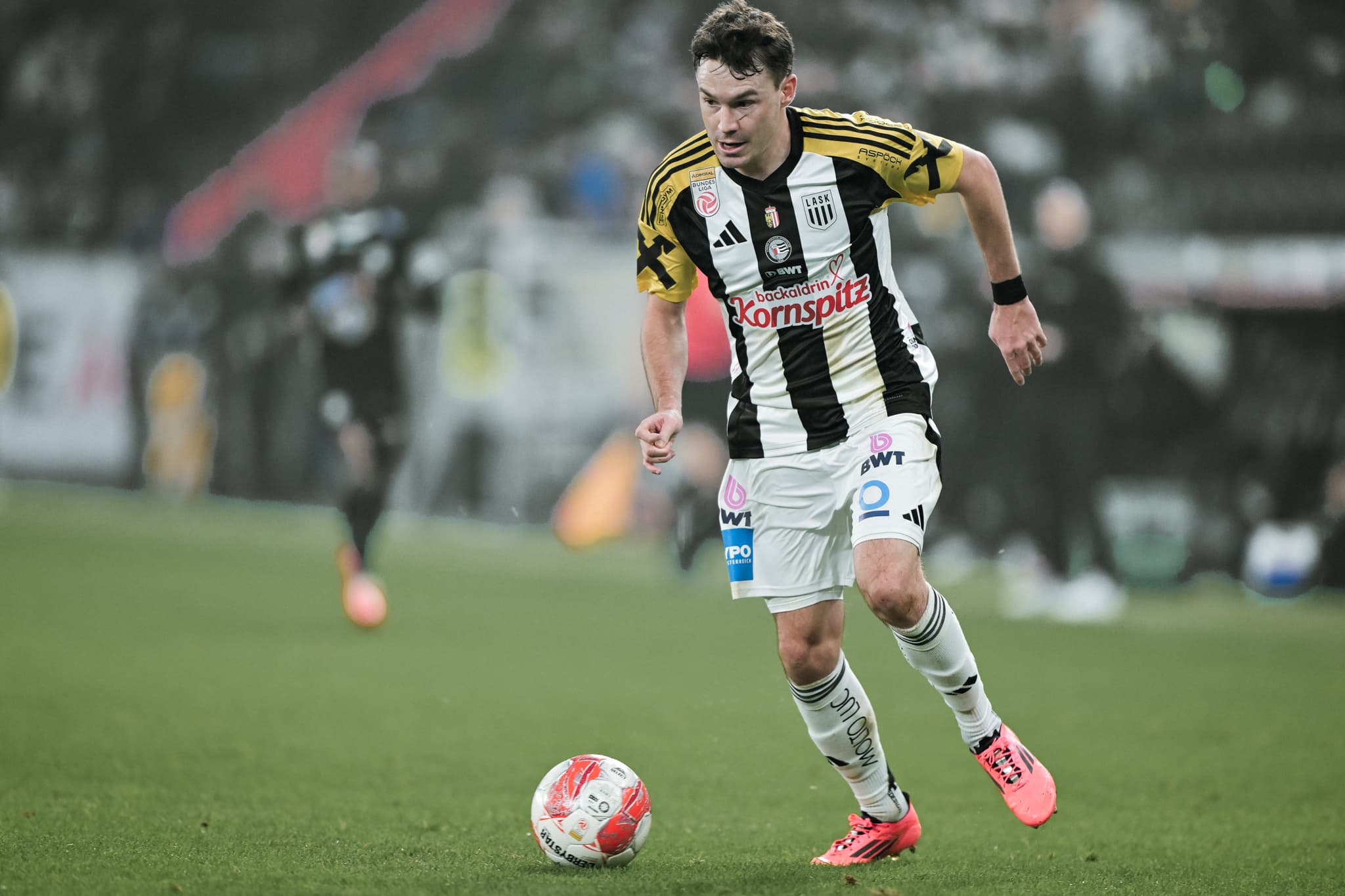 Flecki Vorbericht 2 1