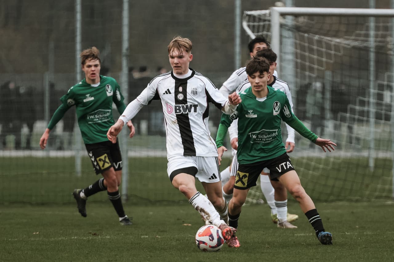 Header AMAS Treibach 2