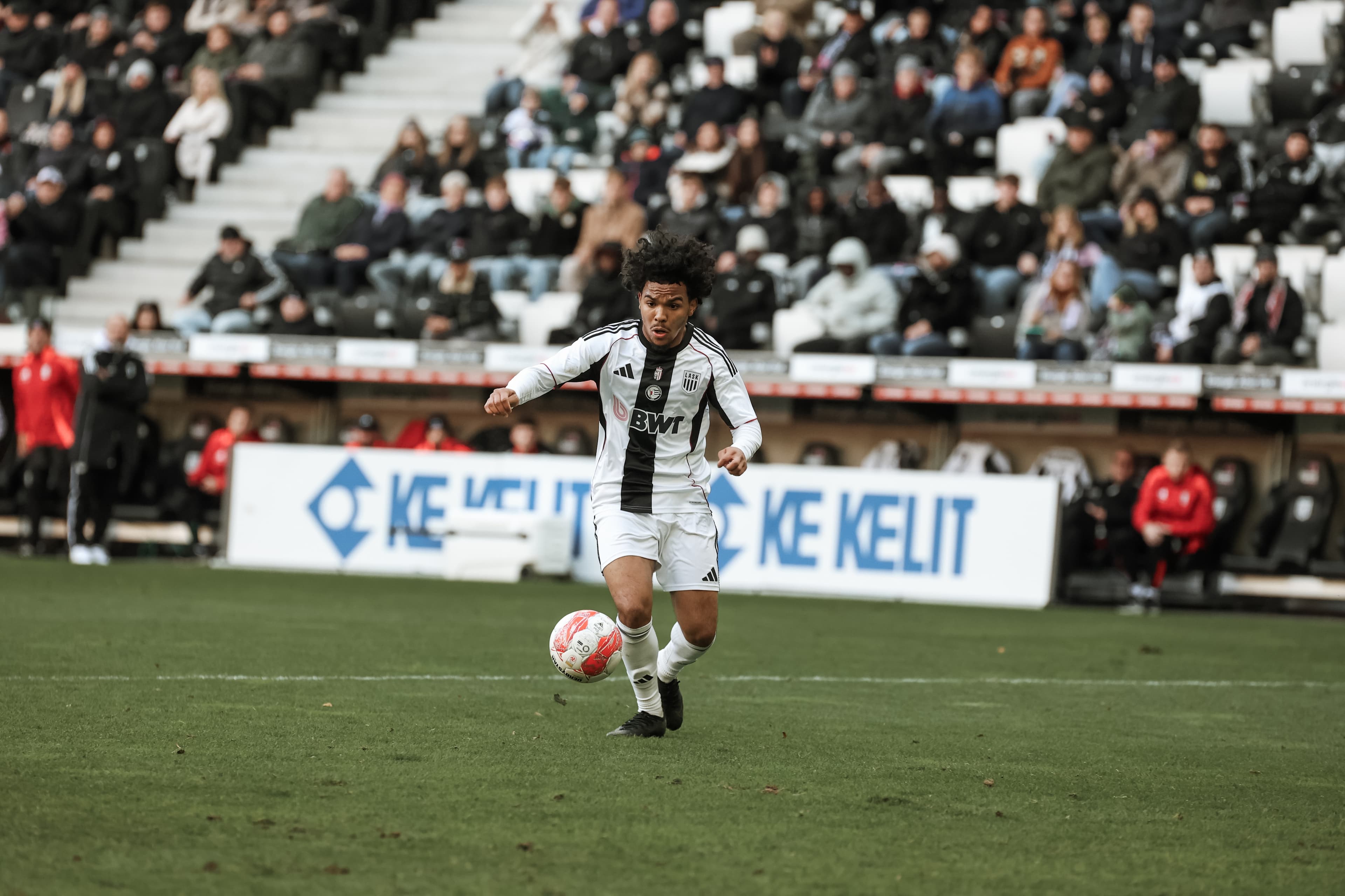 Tchicamboud Header