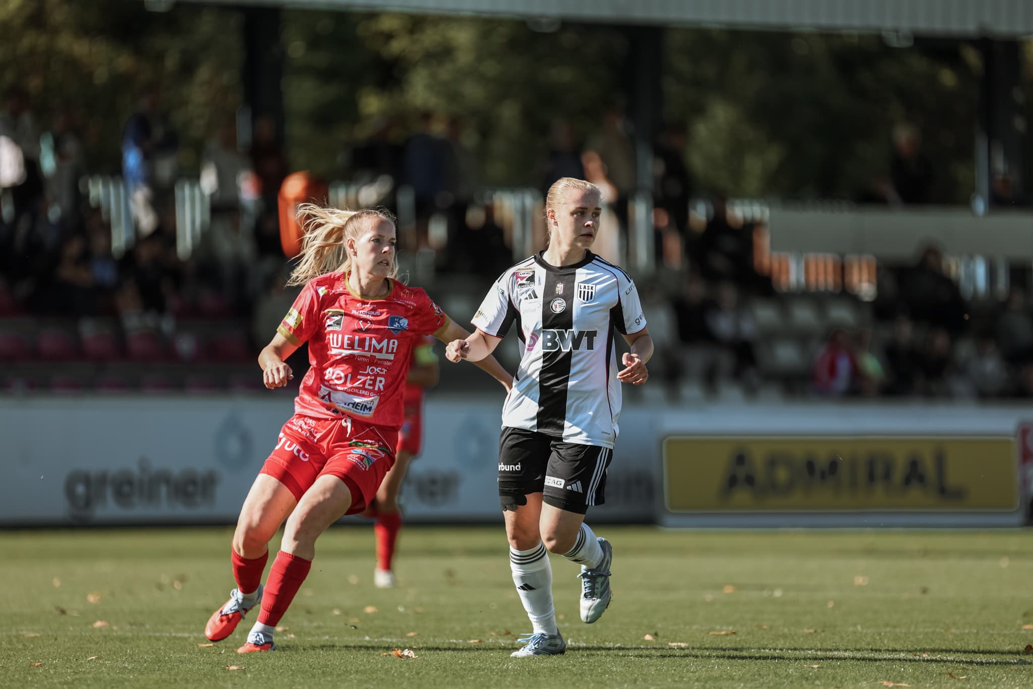 Header Südburgenland