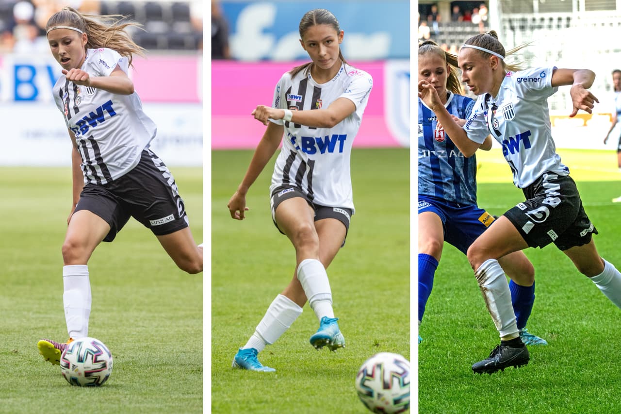 Header Einberufungen Sensenberger Farthofer Schweitzer