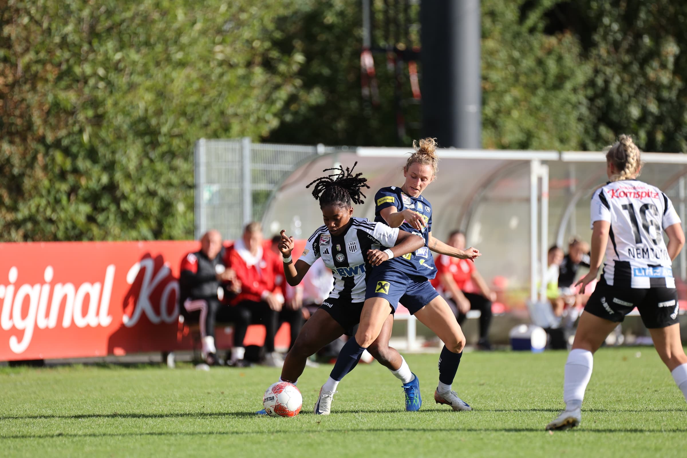 Whats App Bild 2024 09 29 um 16 50 23 dba046b7