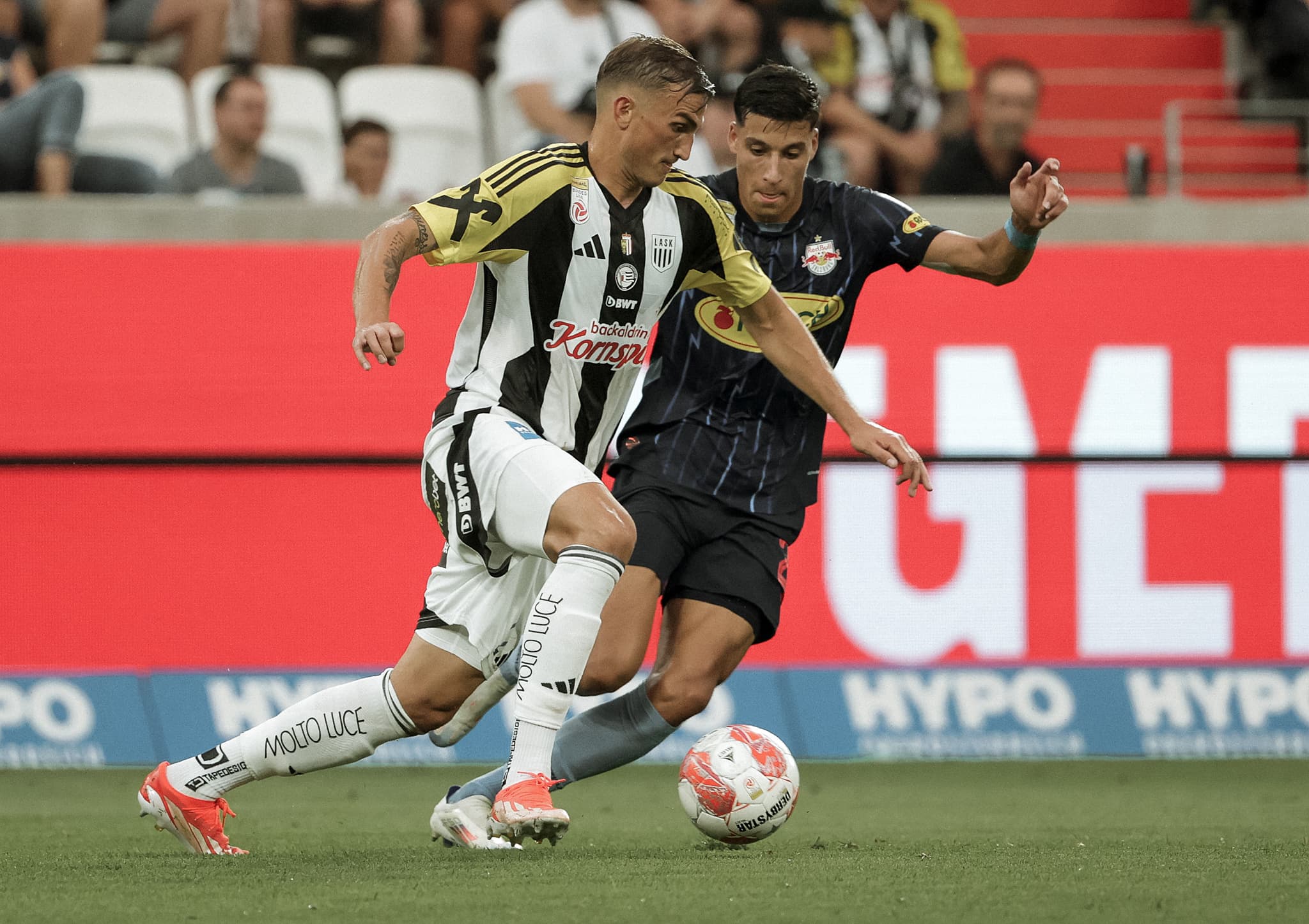 Ziereis Beitragsbild 2